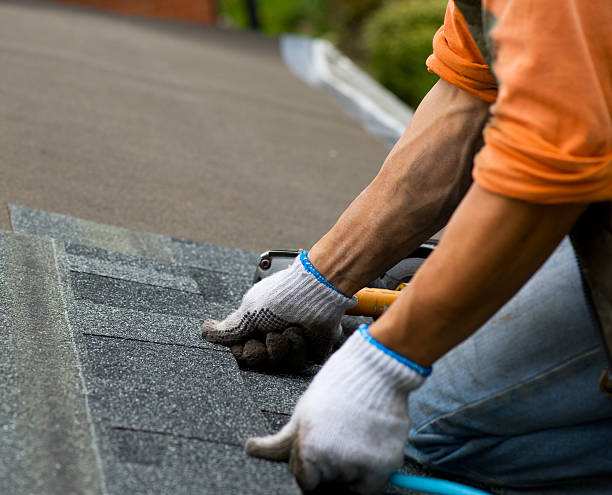 Best Commercial Roofing Services  in Bear Rocks, PA